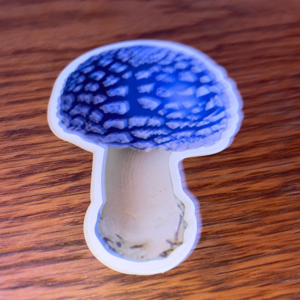 Colorful 13 Mushroom Sticker Set - Picture 12 of 14